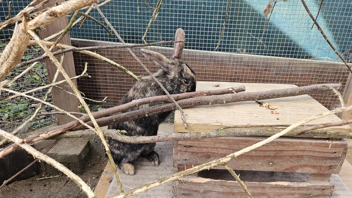 Doc und Dopey photo 6