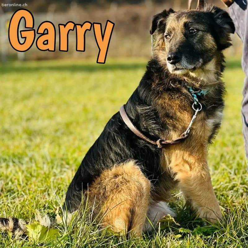 Wundervoller Garry möchte endlich gesehen werden