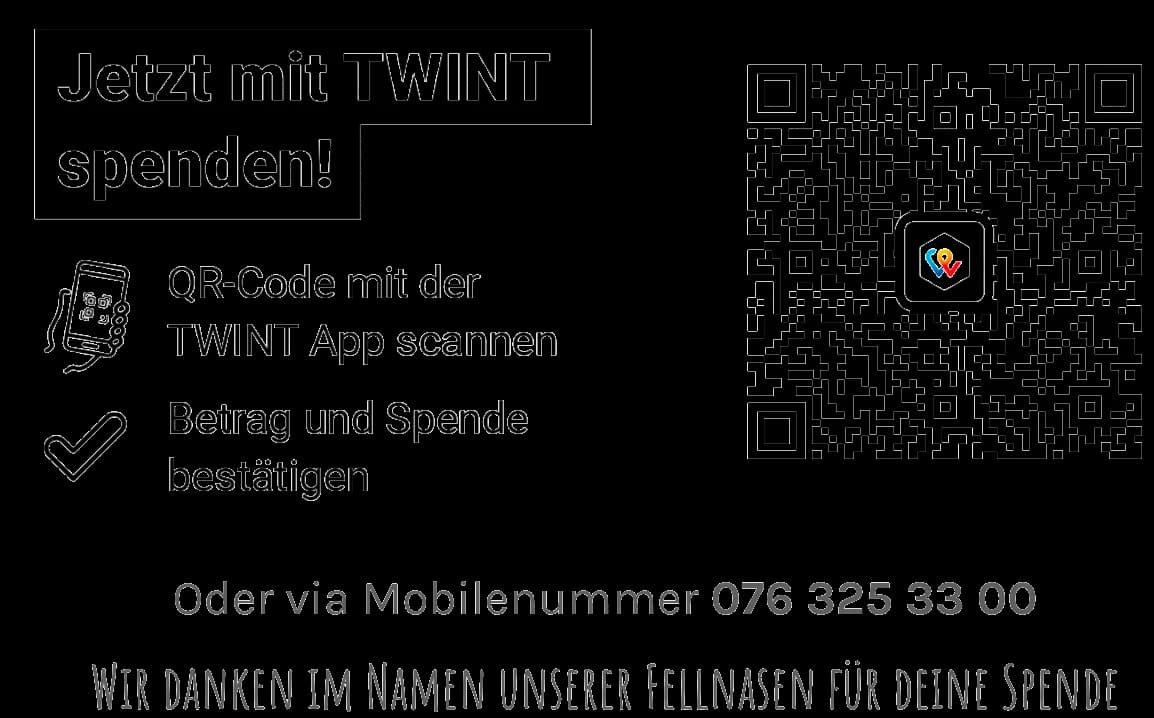 Nika, female Mixed Breed for adoption at Anihelp Tierhilfe, Anihelp