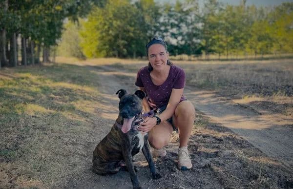 Berci, male 6yo mixed breed for adoption at Animal Happyend, Animal Happyend
