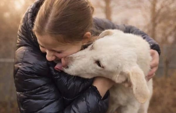 Cuki-7, female Mixed Breed for adoption at Animal Happyend, Animal Happyend — photo 2 of 11