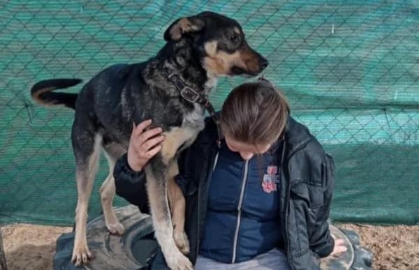 Kadir, male mixed breed for adoption at Animal Happyend, Animal Happyend photo 5