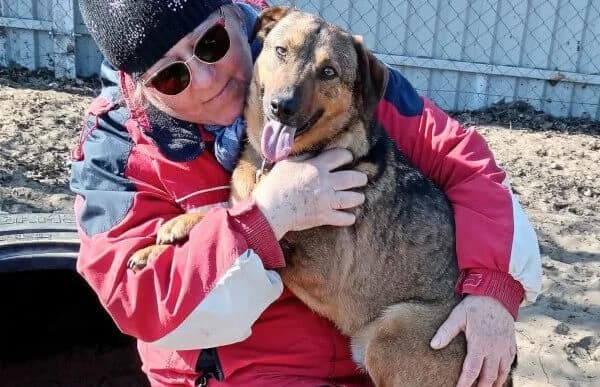 Prometeusz, male 3yo Mixed Breed for adoption at Animal Happyend, Animal Happyend