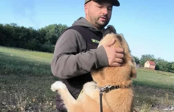 Reza, female Mixed Breed for adoption at Animal Happyend, Animal Happyend photo 5