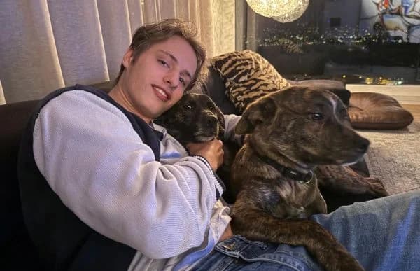 Zsombor, male Mixed Breed for adoption at Animal Happyend, Animal Happyend photo 3