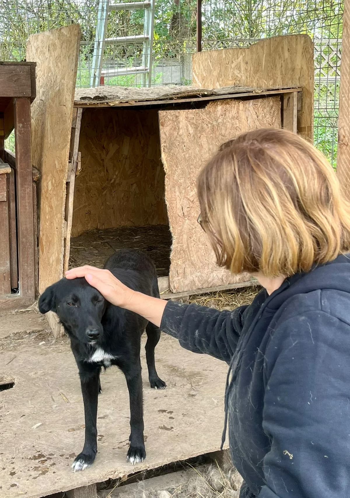 Mina, female Mixed Breed for adoption at Glückshunde Schweiz, Glueckshunde photo 7