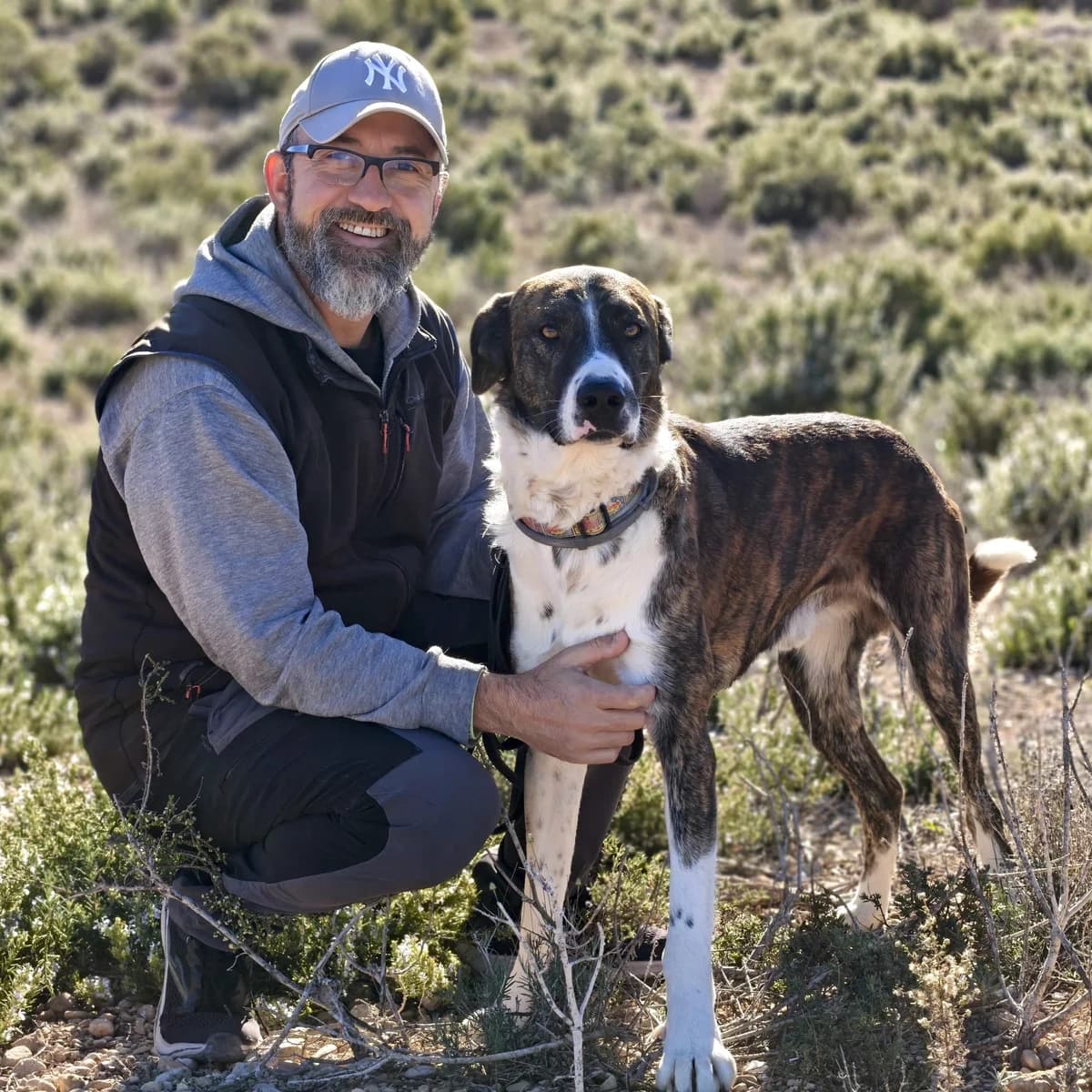 Aire, male Mixed Breed for adoption at home4dogs, Home4dogs photo 5