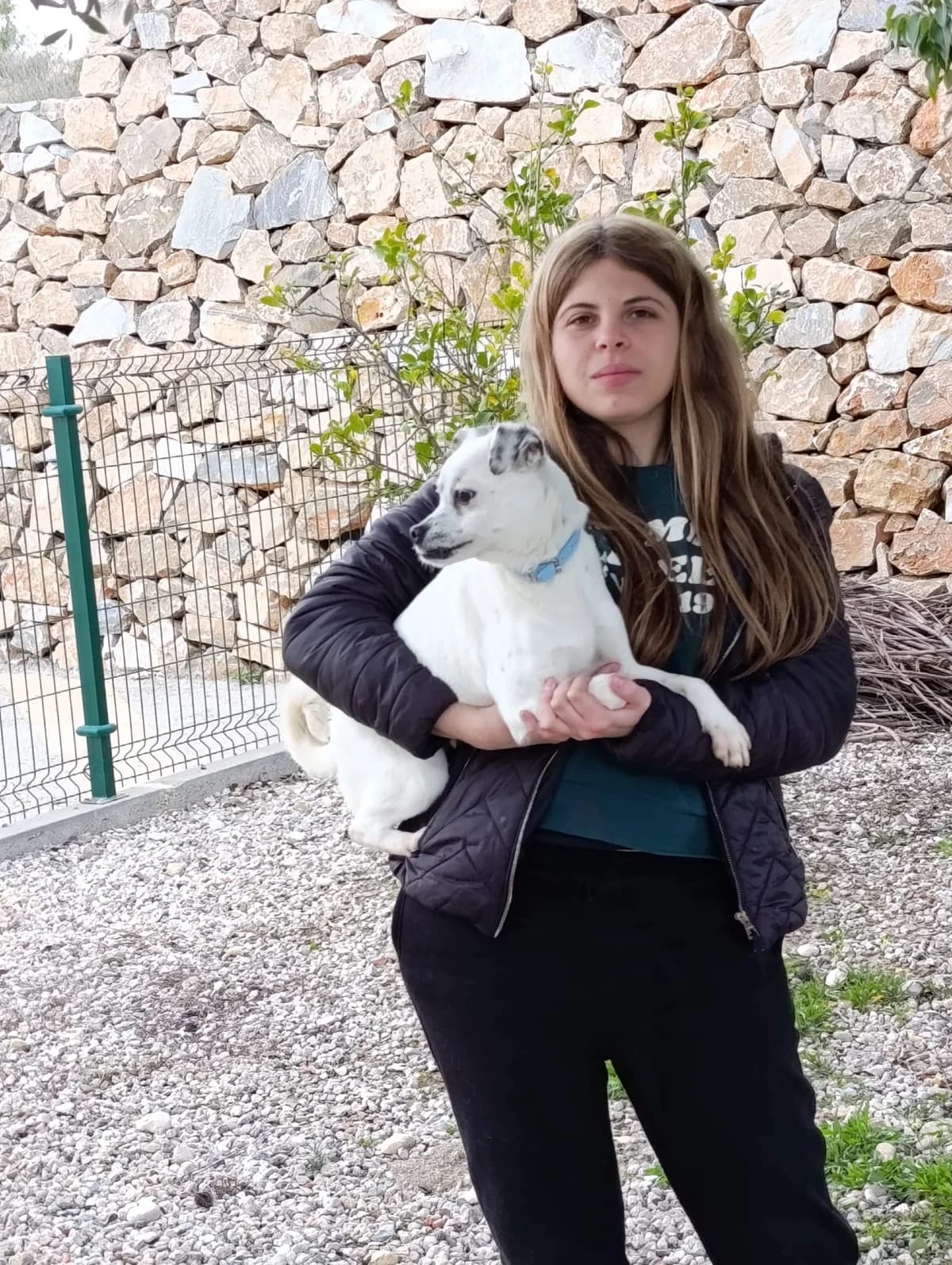 Bimbo, male Mixed Breed for adoption at home4dogs, Home4dogs photo 5