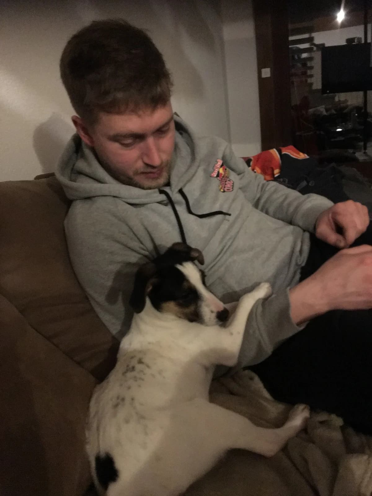 Brisca, female Podenco for adoption at Melampo, Melampo photo 2