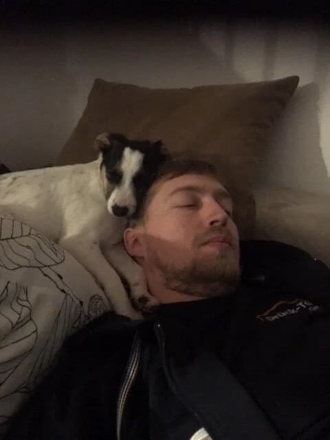 Brisca, female Podenco for adoption at Melampo, Melampo photo 7