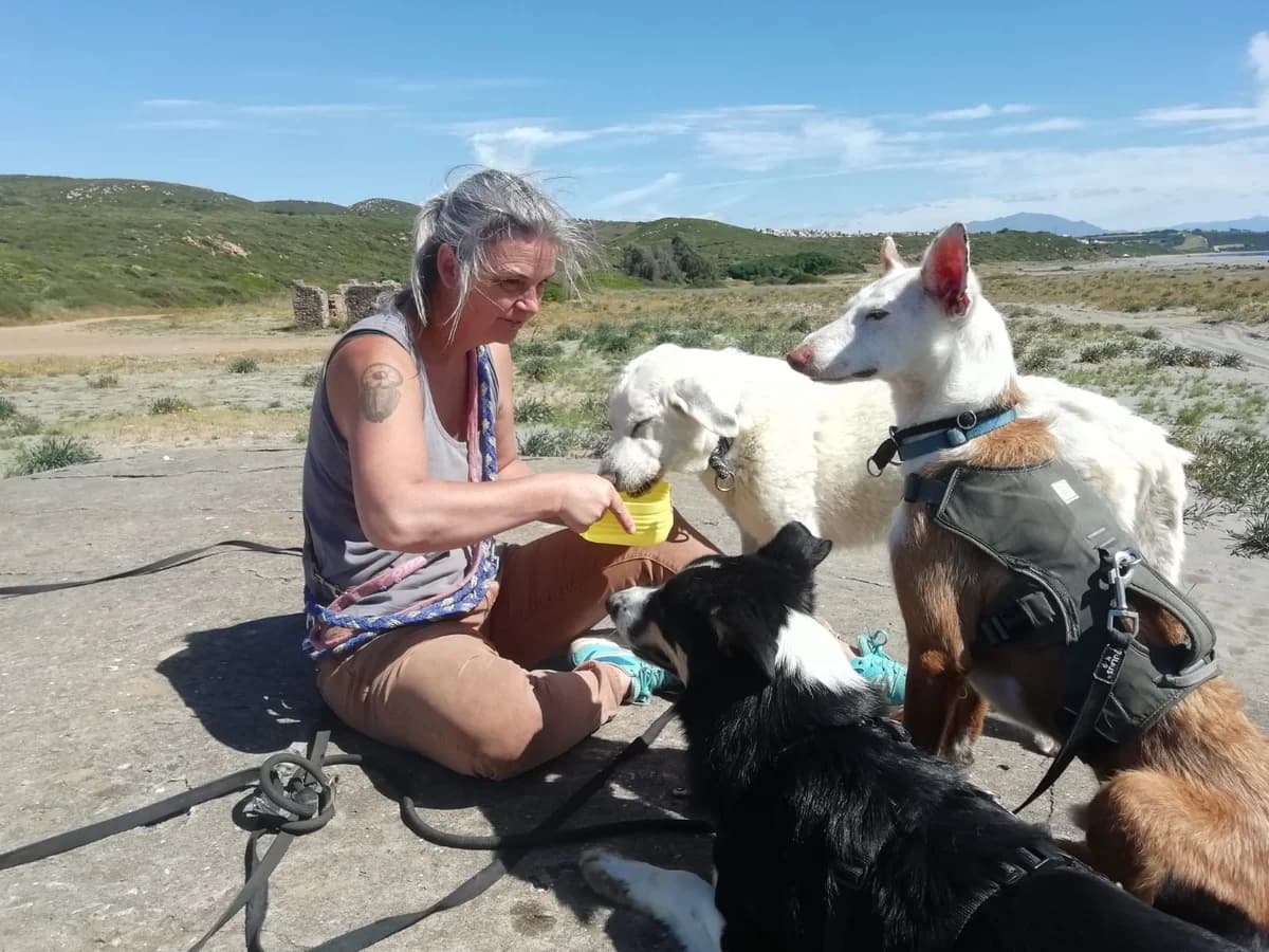 Dakota, female Golden Retriever for adoption at Melampo, Melampo photo 8