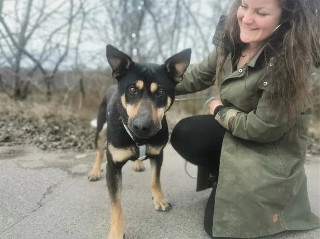 REXY, aktiver Mischlingsrüde, ca. 6 Jahre, 57cm, 24kg, male 3yo Mixed Breed for adoption at Petsearch.ch, Zurich