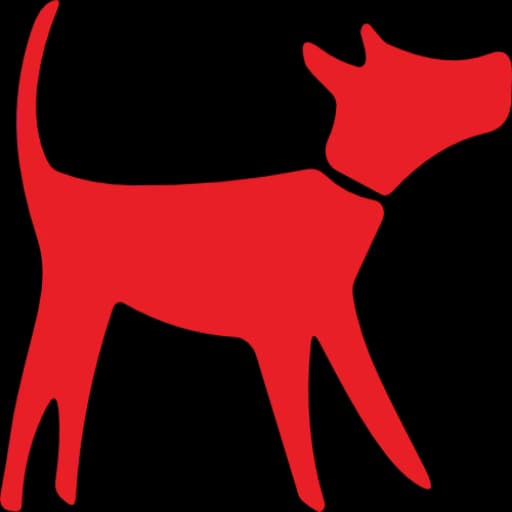 Jonny, male senior Mixed Breed for adoption at SOS Strassenhunde, Sos Strassenhunde