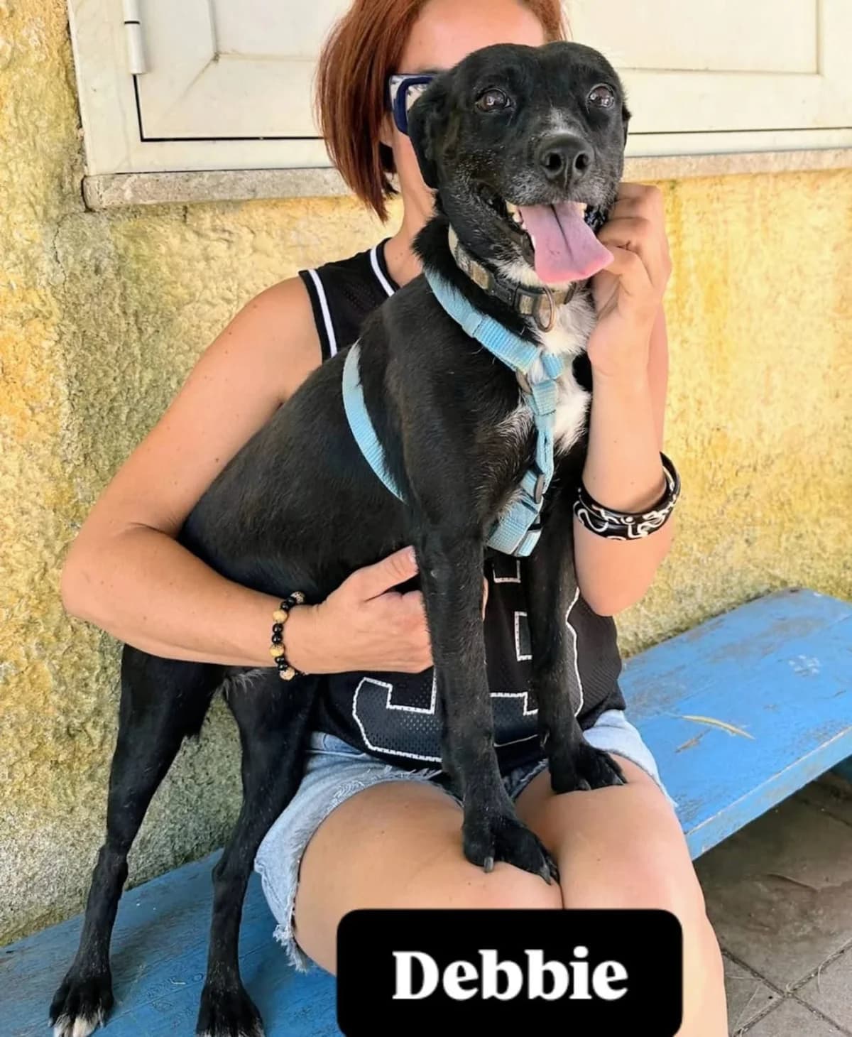 Debbie, female 6yo Mixed Breed for adoption at SOS Strassenhunde, Sos Strassenhunde