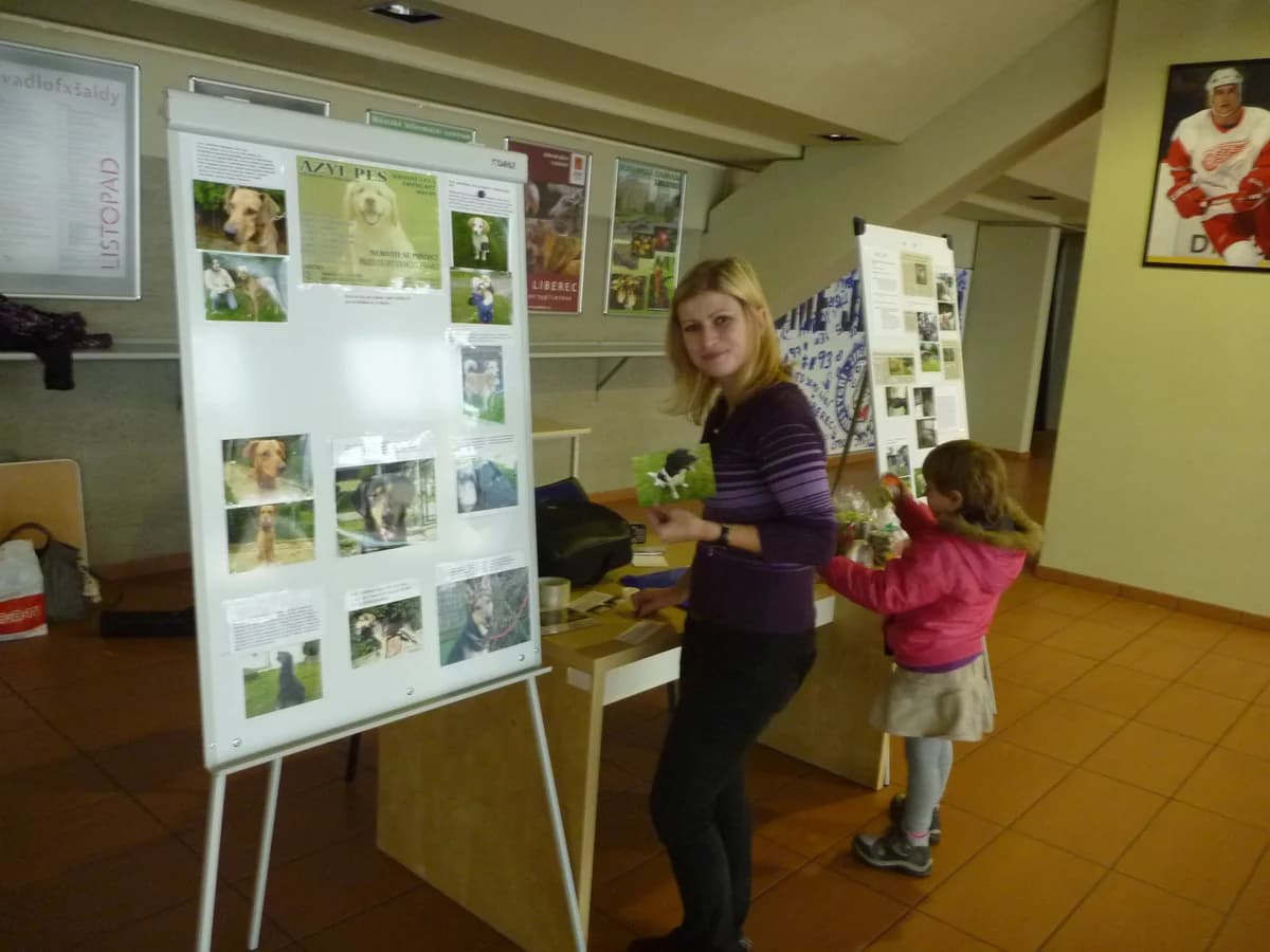 O samotné akci – AGILITY V TIPSPORT ARÉNĚ LIBEREC,  Mixed Breed for adoption at AZYL-PES, 464 01 Krásný Les