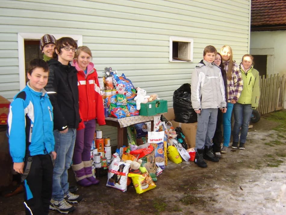 Škola z Rokytnice obdarovala pejsky,  Mixed Breed for adoption at AZYL-PES, 464 01 Krásný Les