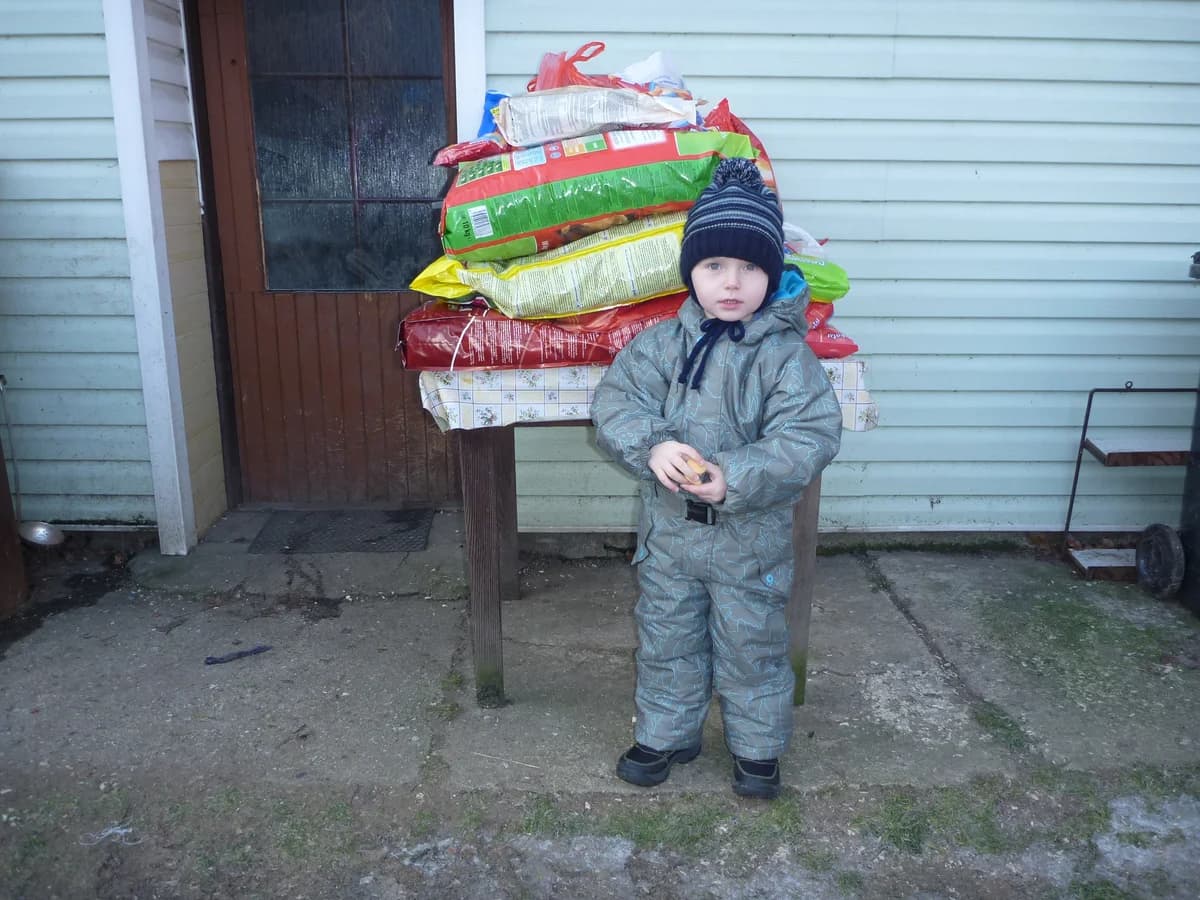 Vánoční dárek,  Mixed Breed for adoption at AZYL-PES, 464 01 Krásný Les