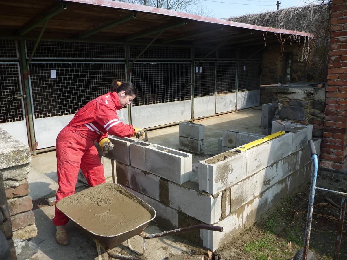 Nové kotce,  Mixed Breed for adoption at AZYL-PES, 464 01 Krásný Les