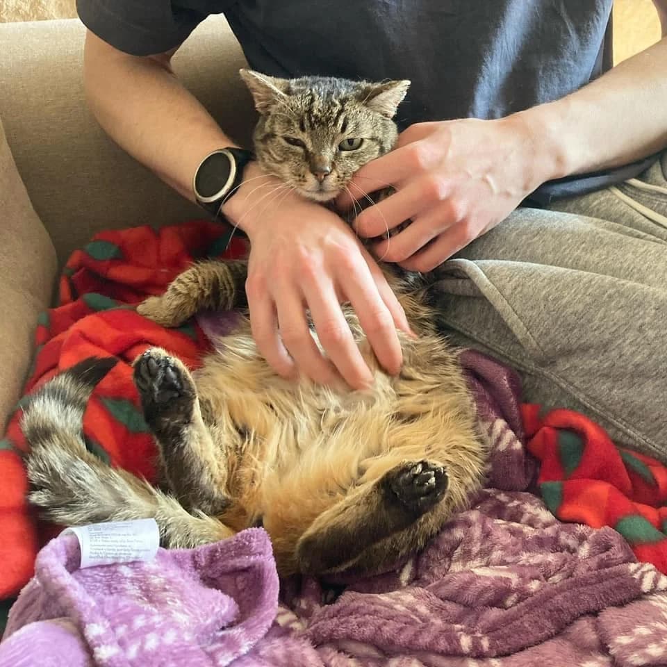 Cipísek, male Mixed Breed for adoption at Cool Critters, Cool Critters photo 3