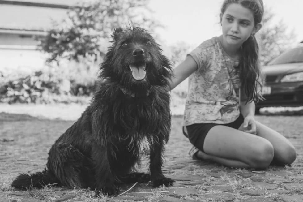 Marten,  Mixed Breed for adoption at Cool Critters