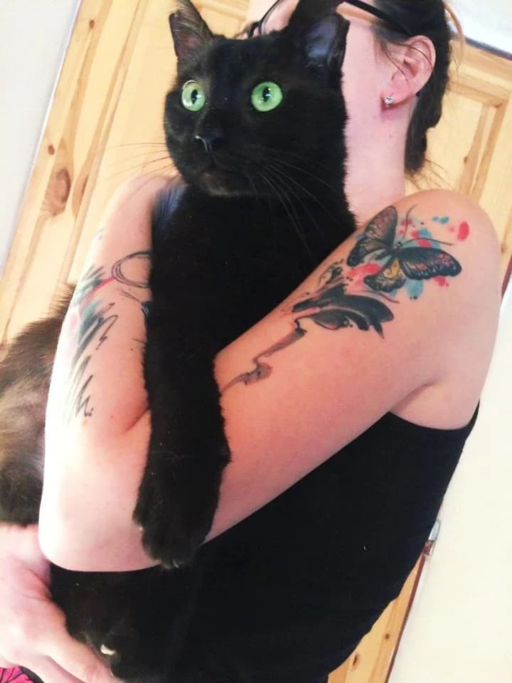 Kubíček,  Mixed Breed for adoption at Hoštecké kočky z.s.