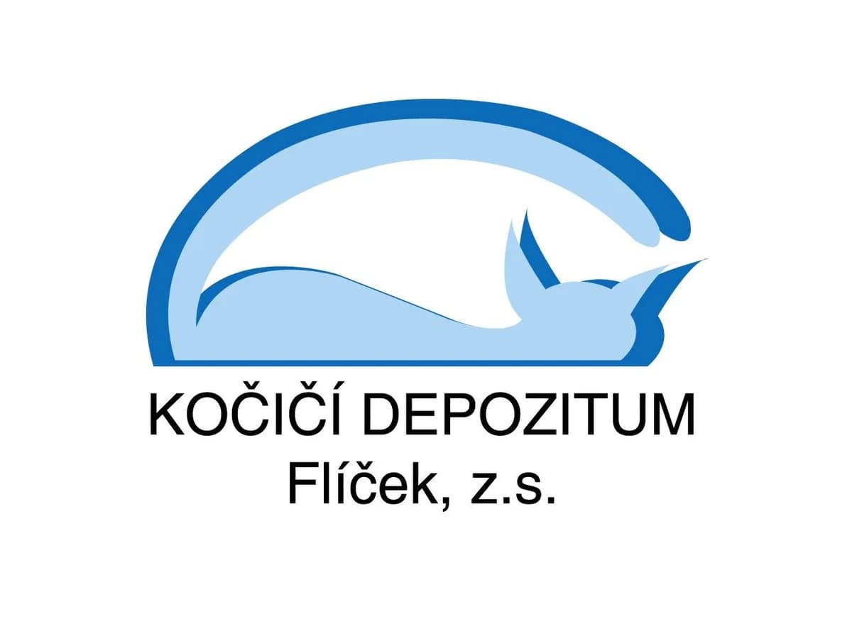 Ula,  Mixed Breed for adoption at Kočičí depozitum Flíček z.s.