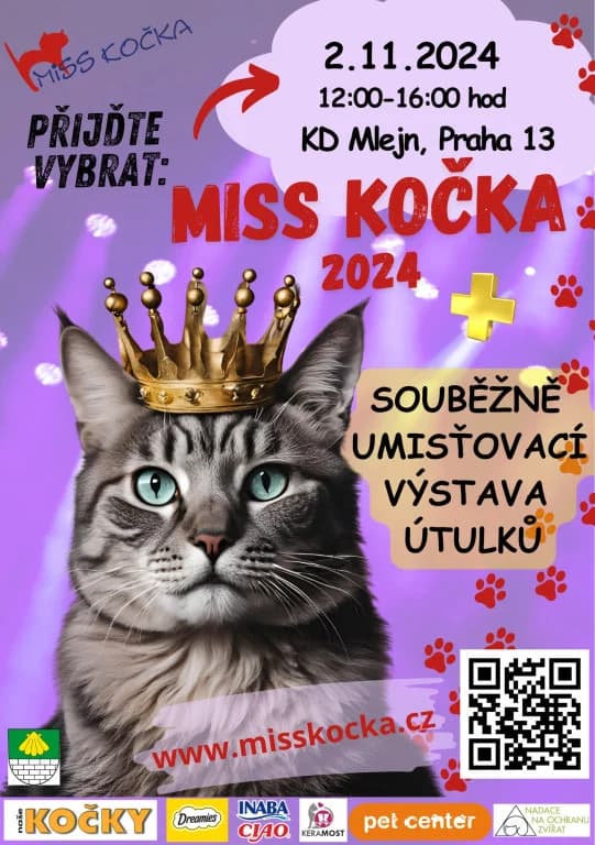 2.11.2024 MISS KOČKA 2024 se blíží mílovými kroky., female Mixed Breed for adoption at Pozor Kočka!