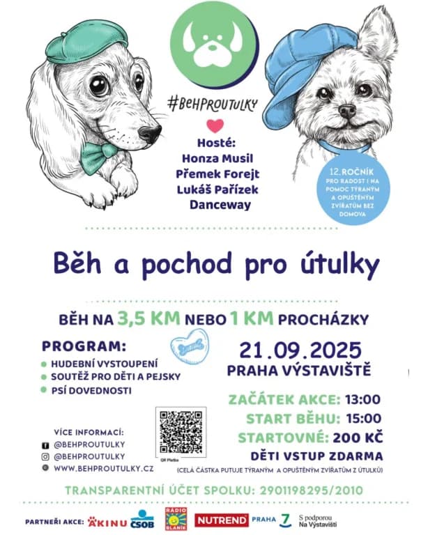 Běhejme a pomáhejme útulkům, Mixed Breed (Pozor Kočka!)