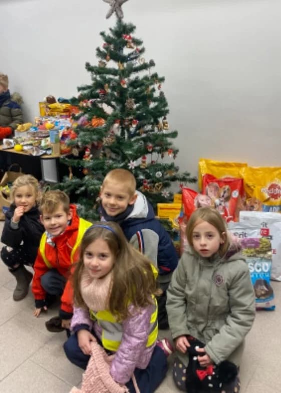 Poděkování MŠ Ludvíka Podéště,  Mixed Breed for adoption at Psí útulek — photo 2 of 5