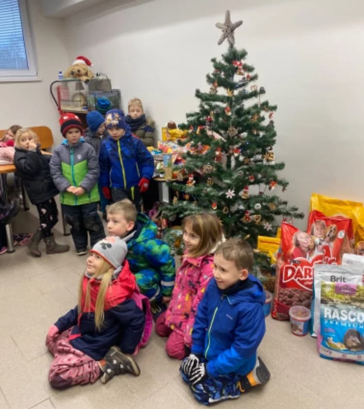 Poděkování MŠ Ludvíka Podéště,  Mixed Breed for adoption at Psí útulek — photo 4 of 5