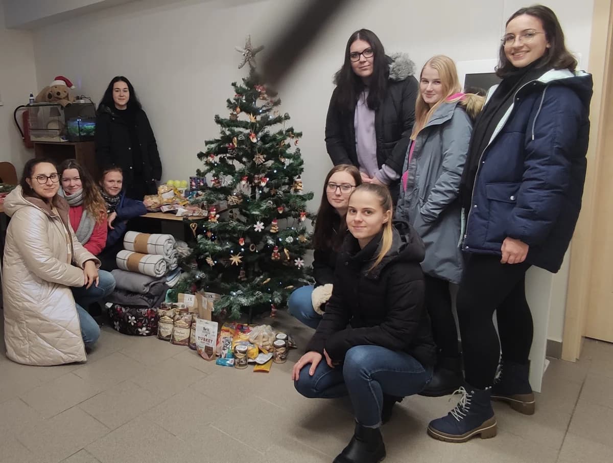Poděkování studentkám z Ostravské univerzity,  Mixed Breed for adoption at Psí útulek
