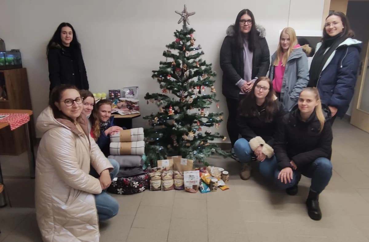 Poděkování studentkám z Ostravské univerzity,  Mixed Breed for adoption at Psí útulek — photo 2 of 2