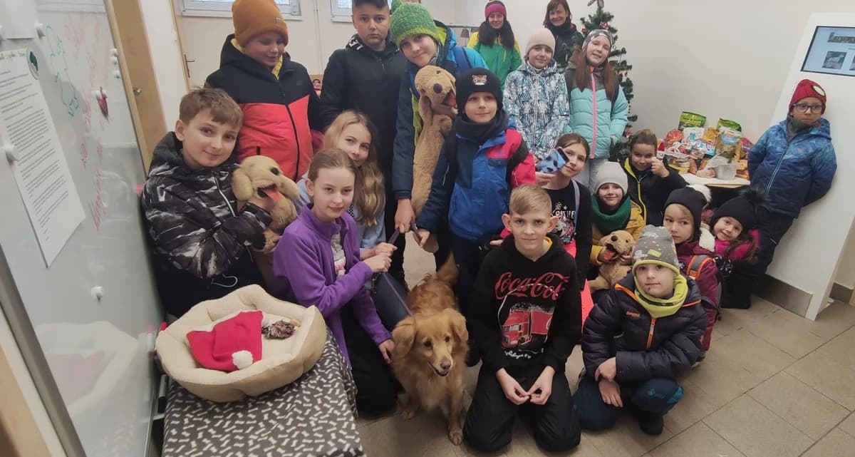 Poděkování ZŠ Rovniny z Hlučína,  Mixed Breed for adoption at Psí útulek