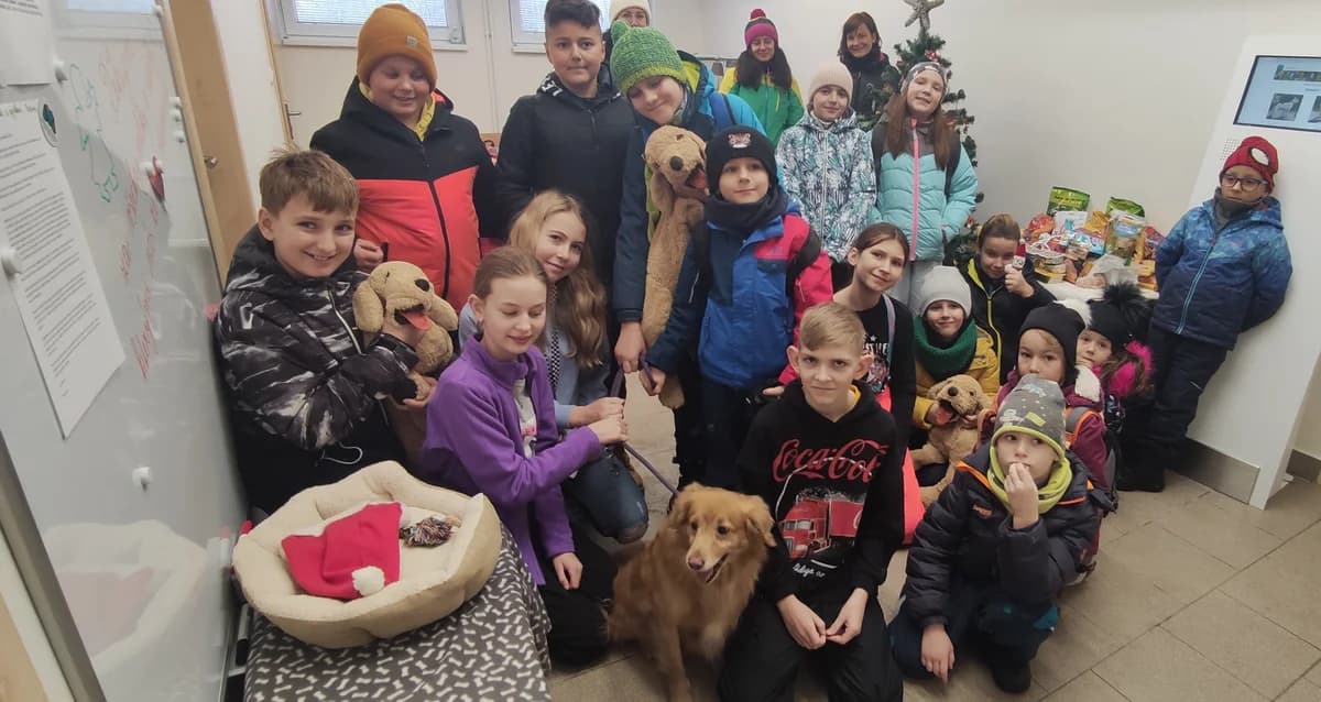 Poděkování ZŠ Rovniny z Hlučína,  Mixed Breed for adoption at Psí útulek — photo 2 of 5