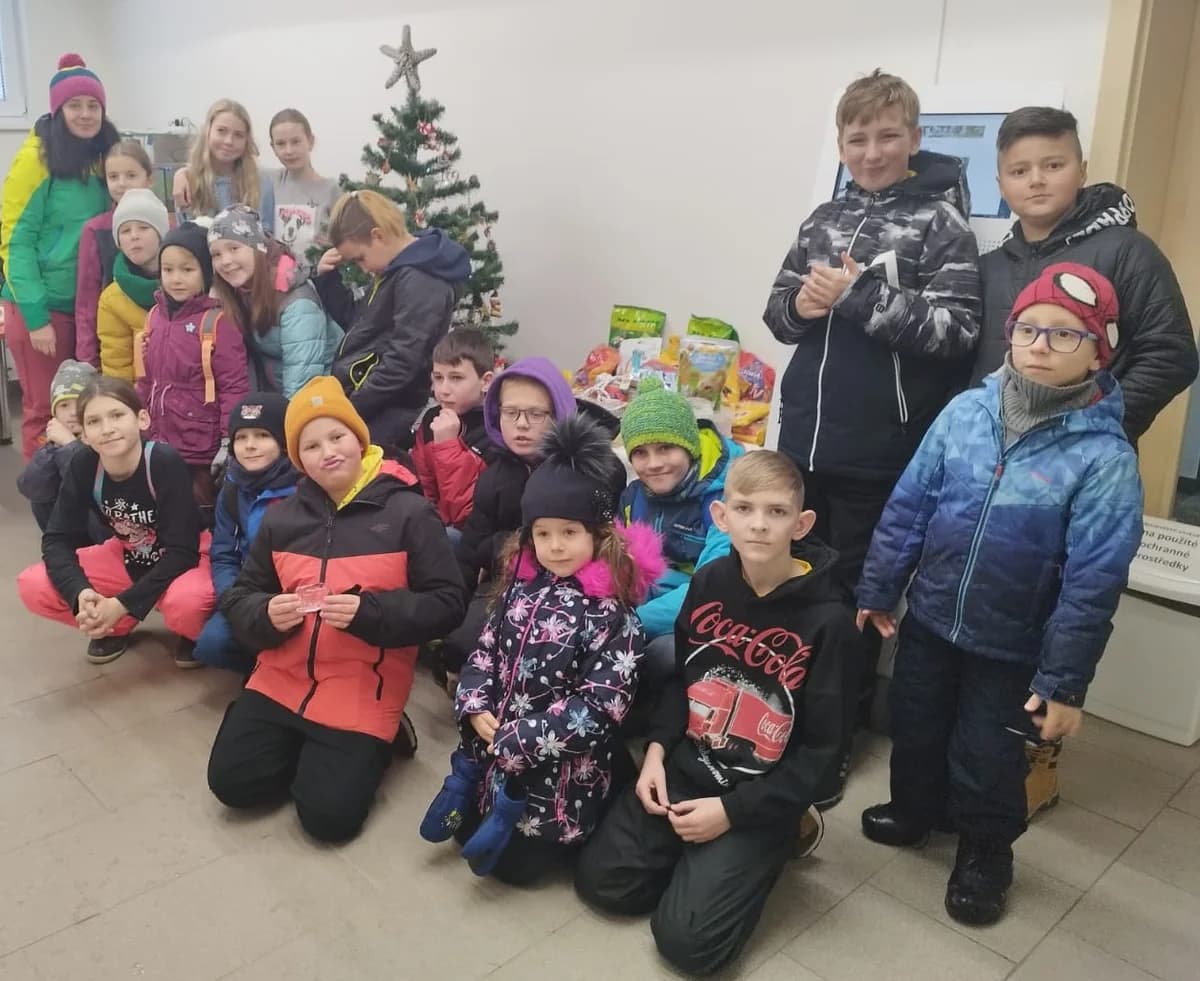 Poděkování ZŠ Rovniny z Hlučína,  Mixed Breed for adoption at Psí útulek — photo 5 of 5