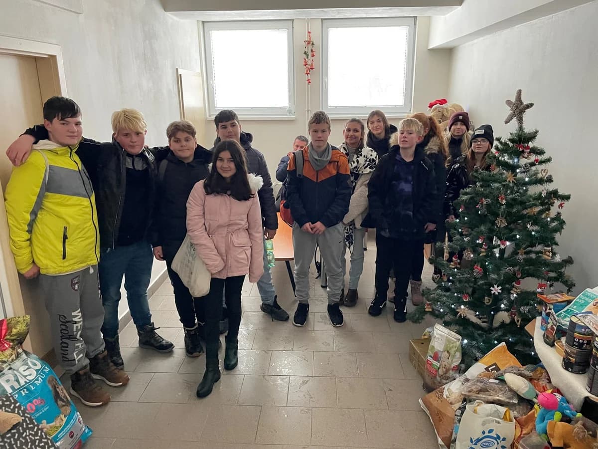 Poděkování žákům ZŠ Halasova,  Mixed Breed for adoption at Psí útulek