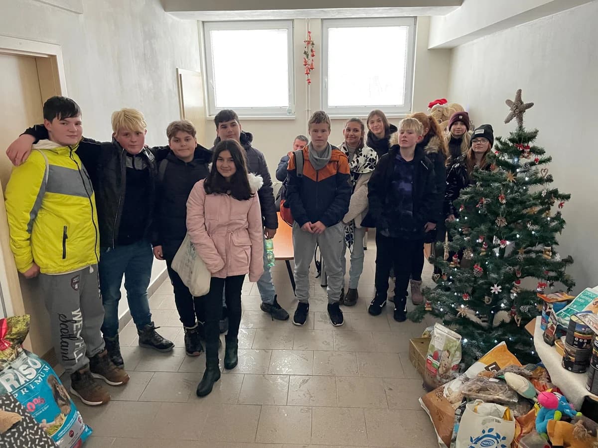 Poděkování žákům ZŠ Halasova,  Mixed Breed for adoption at Psí útulek — photo 2 of 2