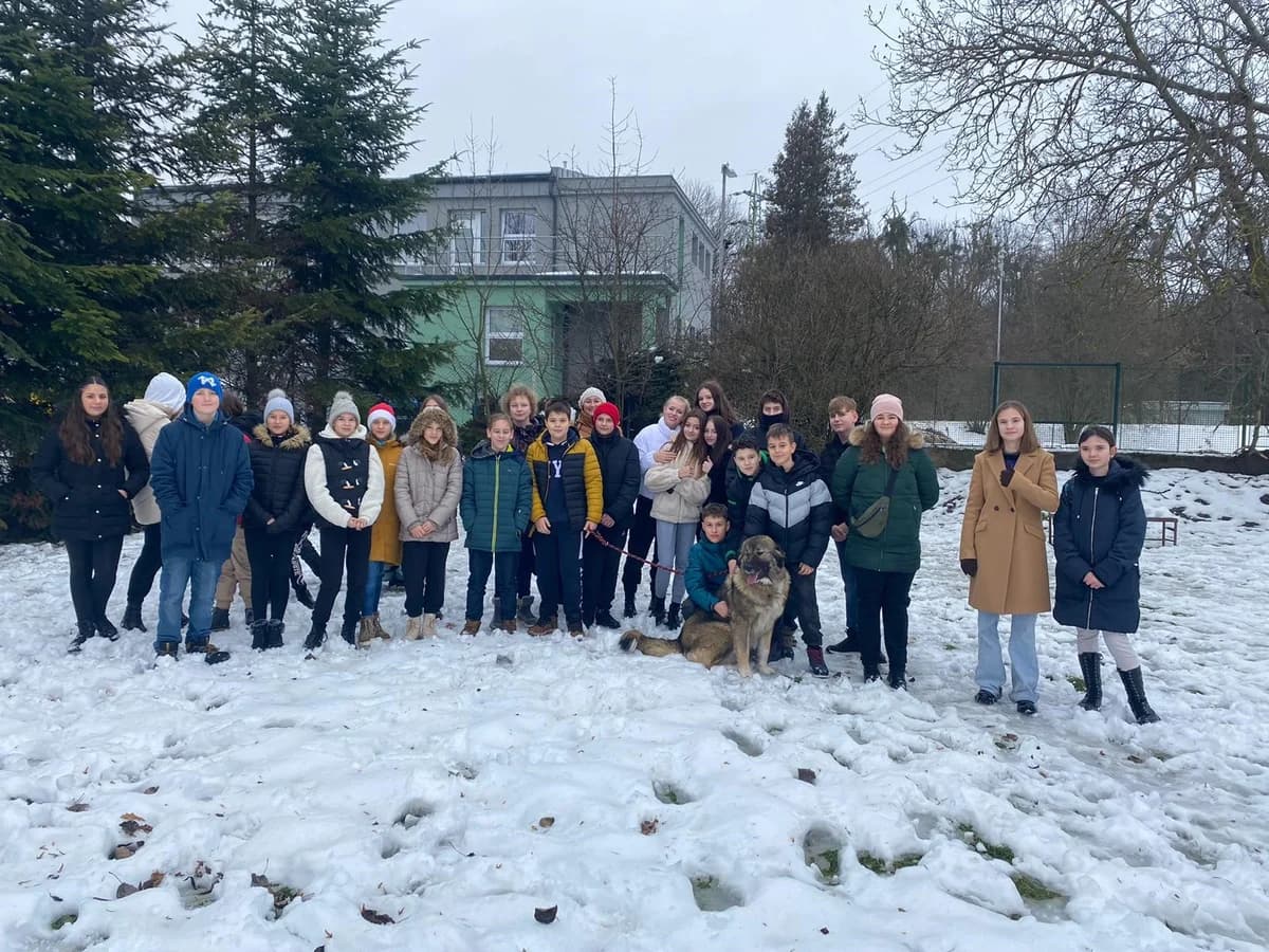 Poděkování ZŠ Pokorného,  Mixed Breed for adoption at Psí útulek
