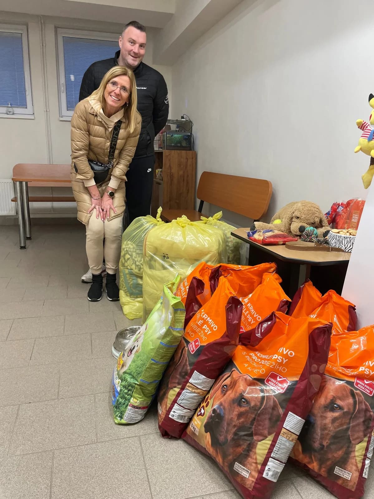 Poděkování Body Academy,  Mixed Breed for adoption at Psí útulek