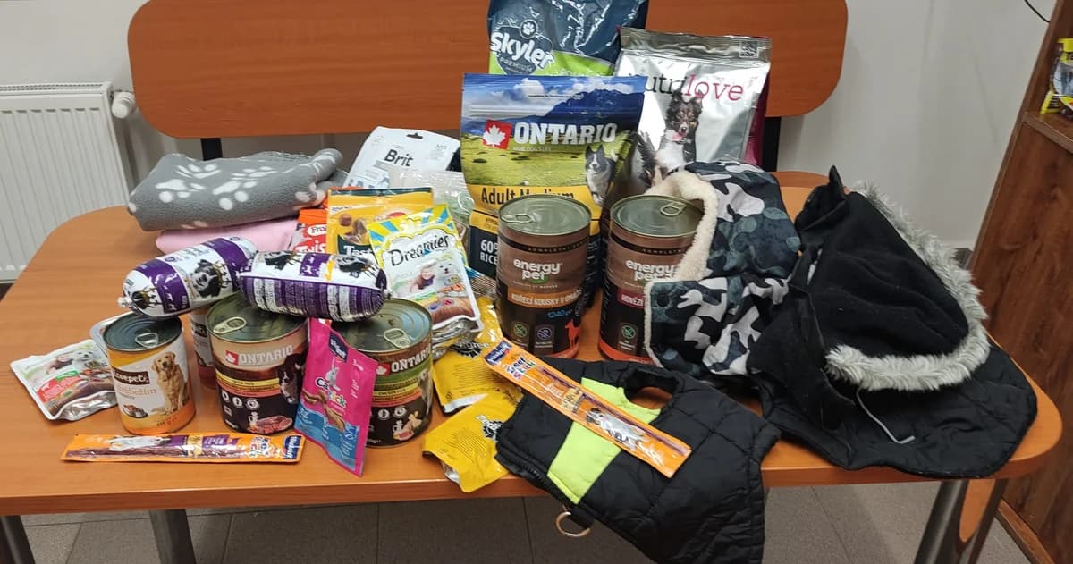 Poděkování dětem z MŠ J. Maluchy 105,  Mixed Breed for adoption at Psí útulek