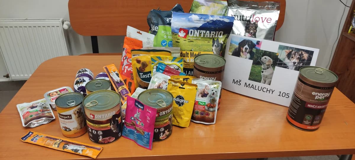 Poděkování dětem z MŠ J. Maluchy 105,  Mixed Breed for adoption at Psí útulek — photo 2 of 2