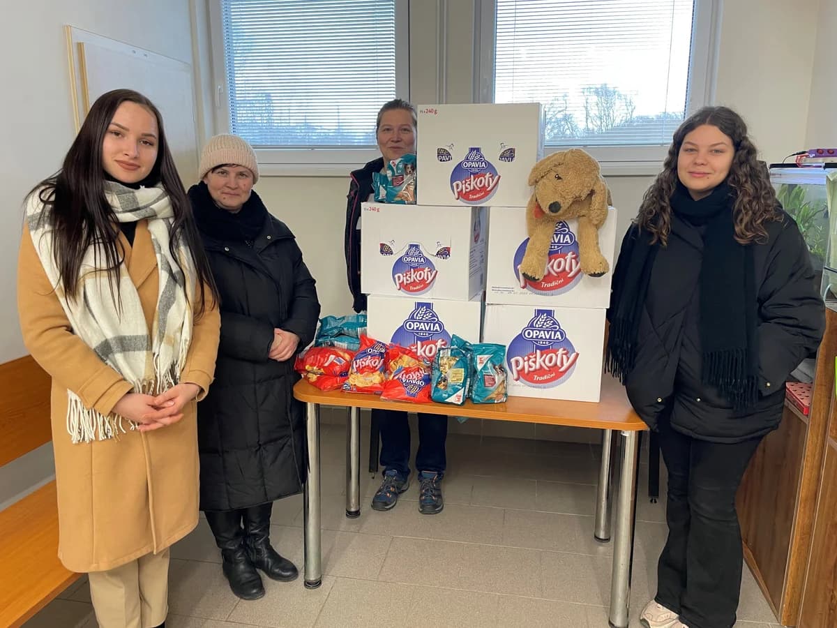 PODĚKOVÁNÍ OBCHODNÍ AKADEMII OSTRAVA – PORUBA,  Mixed Breed for adoption at Psí útulek — photo 2 of 2