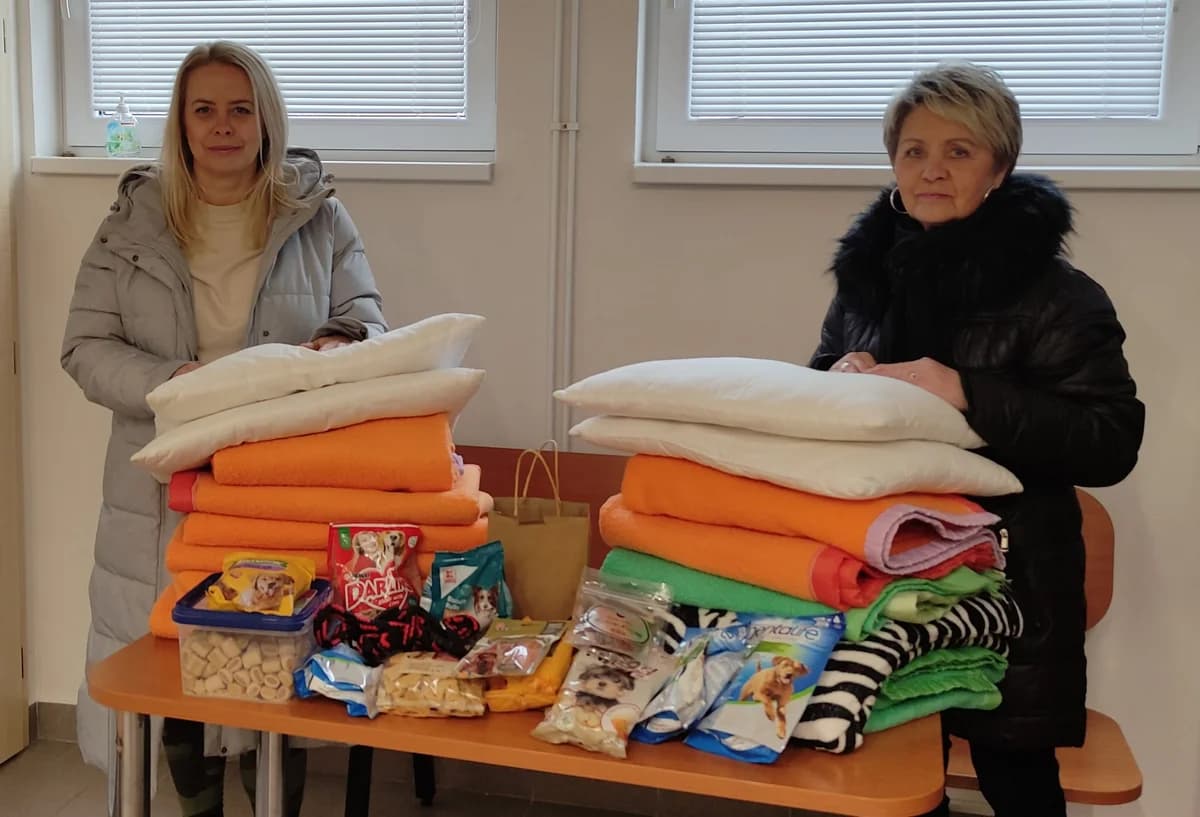 Poděkování MŠ Slavíkova,  Mixed Breed for adoption at Psí útulek