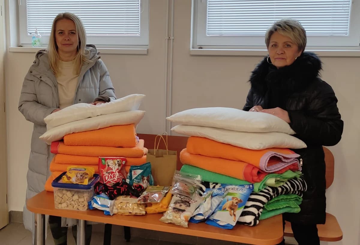 Poděkování MŠ Slavíkova,  Mixed Breed for adoption at Psí útulek — photo 2 of 2