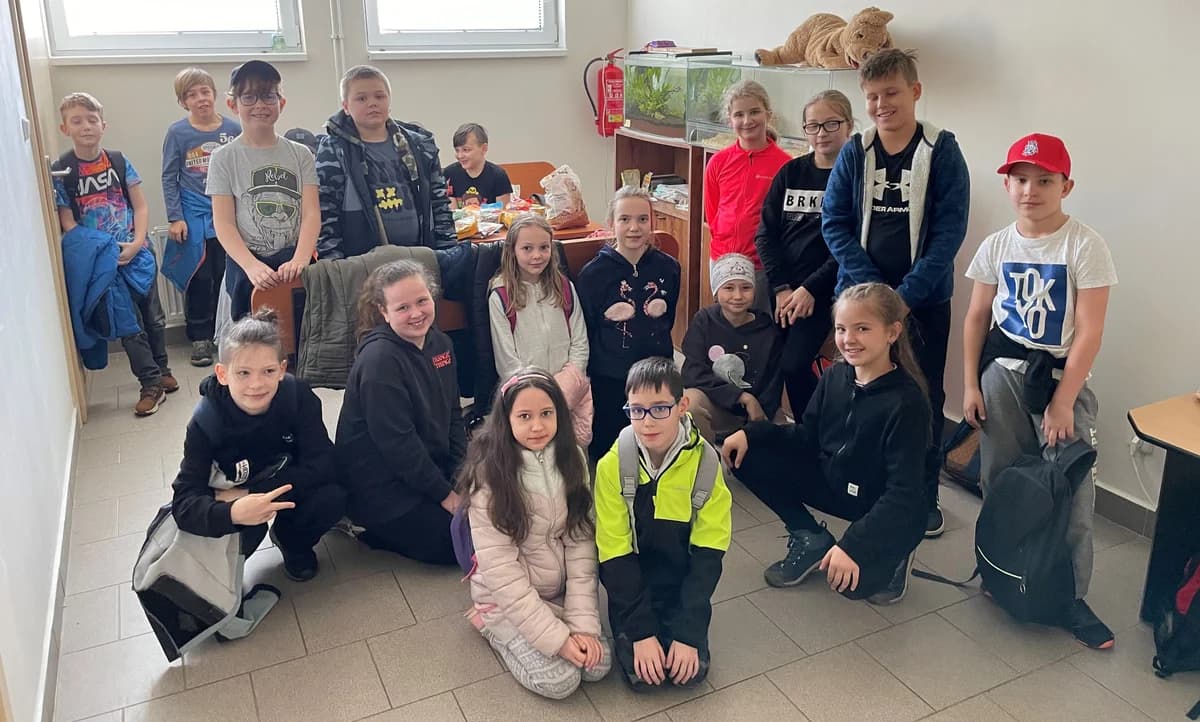 Poděkování ZŠ K. Pokorného,  Mixed Breed for adoption at Psí útulek — photo 2 of 2