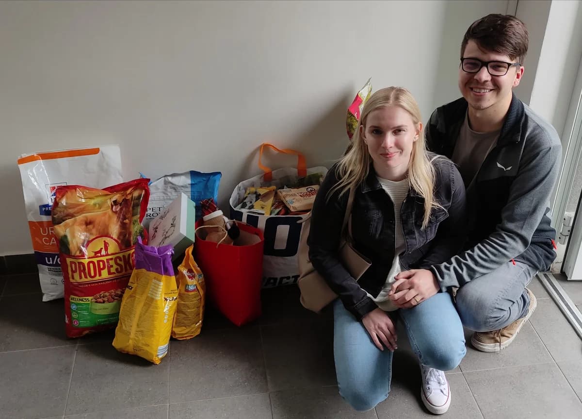 Poděkování novomanželům Kišovým,  Mixed Breed for adoption at Psí útulek