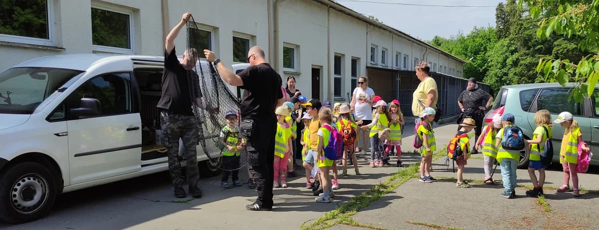 Poděkování MŠ Paskov,  Mixed Breed for adoption at Psí útulek — photo 2 of 14