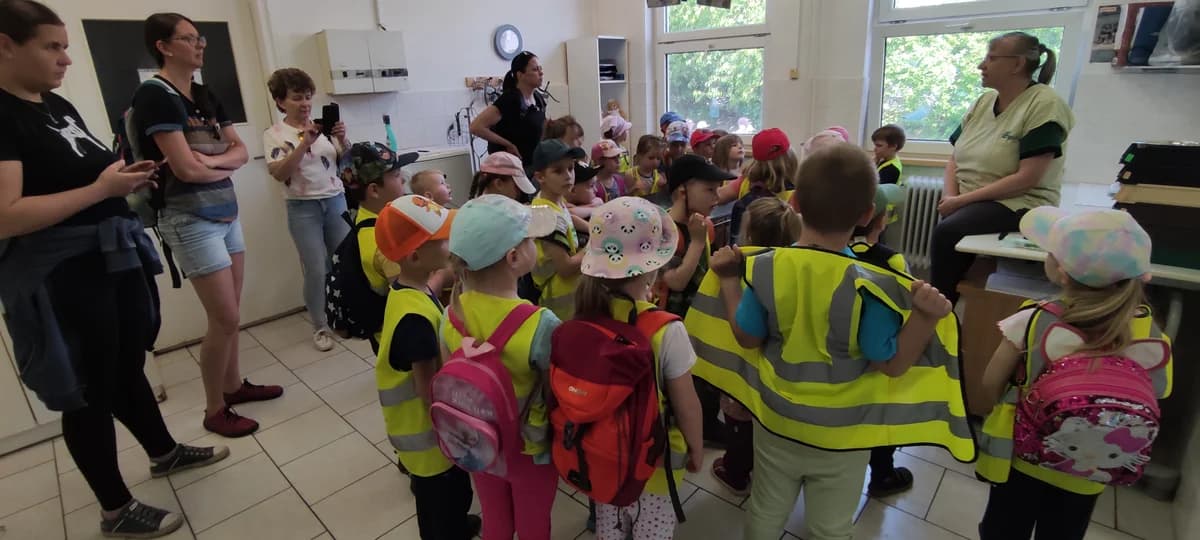Poděkování MŠ Paskov,  Mixed Breed for adoption at Psí útulek — photo 5 of 14