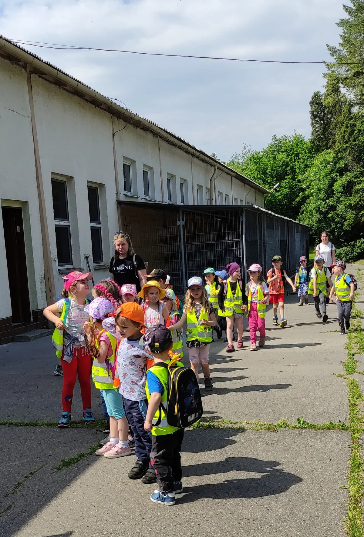 Poděkování MŠ Paskov,  Mixed Breed for adoption at Psí útulek — photo 6 of 14