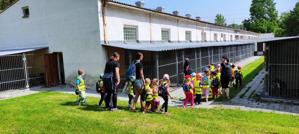 Poděkování MŠ Paskov,  Mixed Breed for adoption at Psí útulek — photo 7 of 14